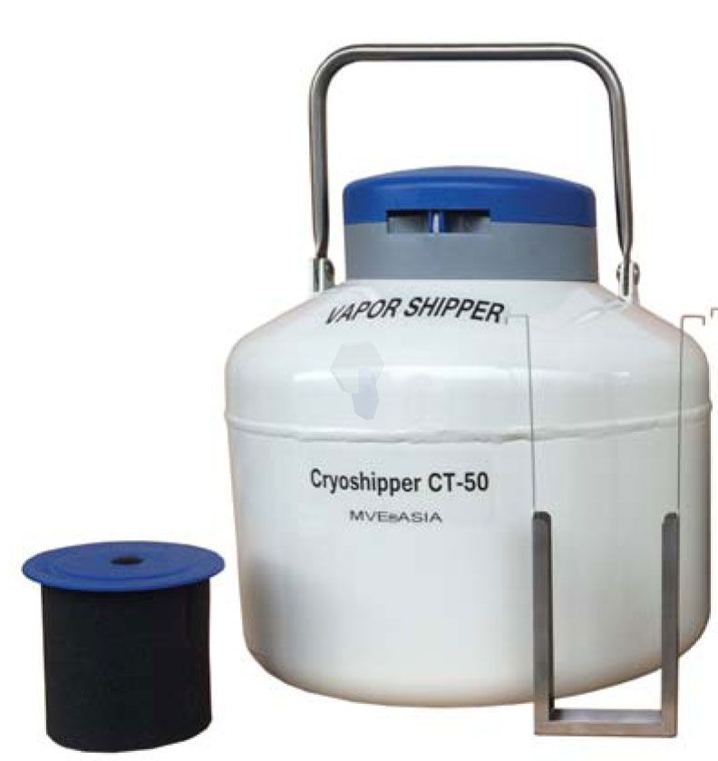 mve液氮罐 mve液氮罐