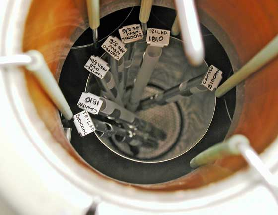 胚胎儲存 胚胎儲存